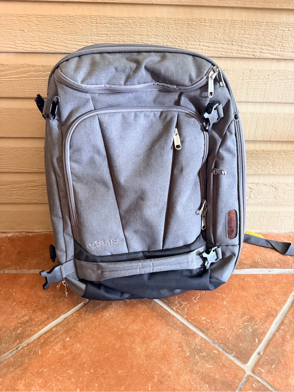 Mint condition Motherlode eBag